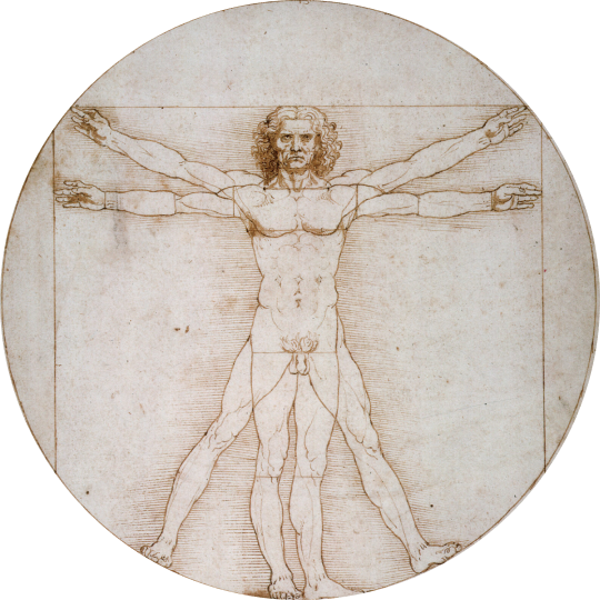Vitruvian Man